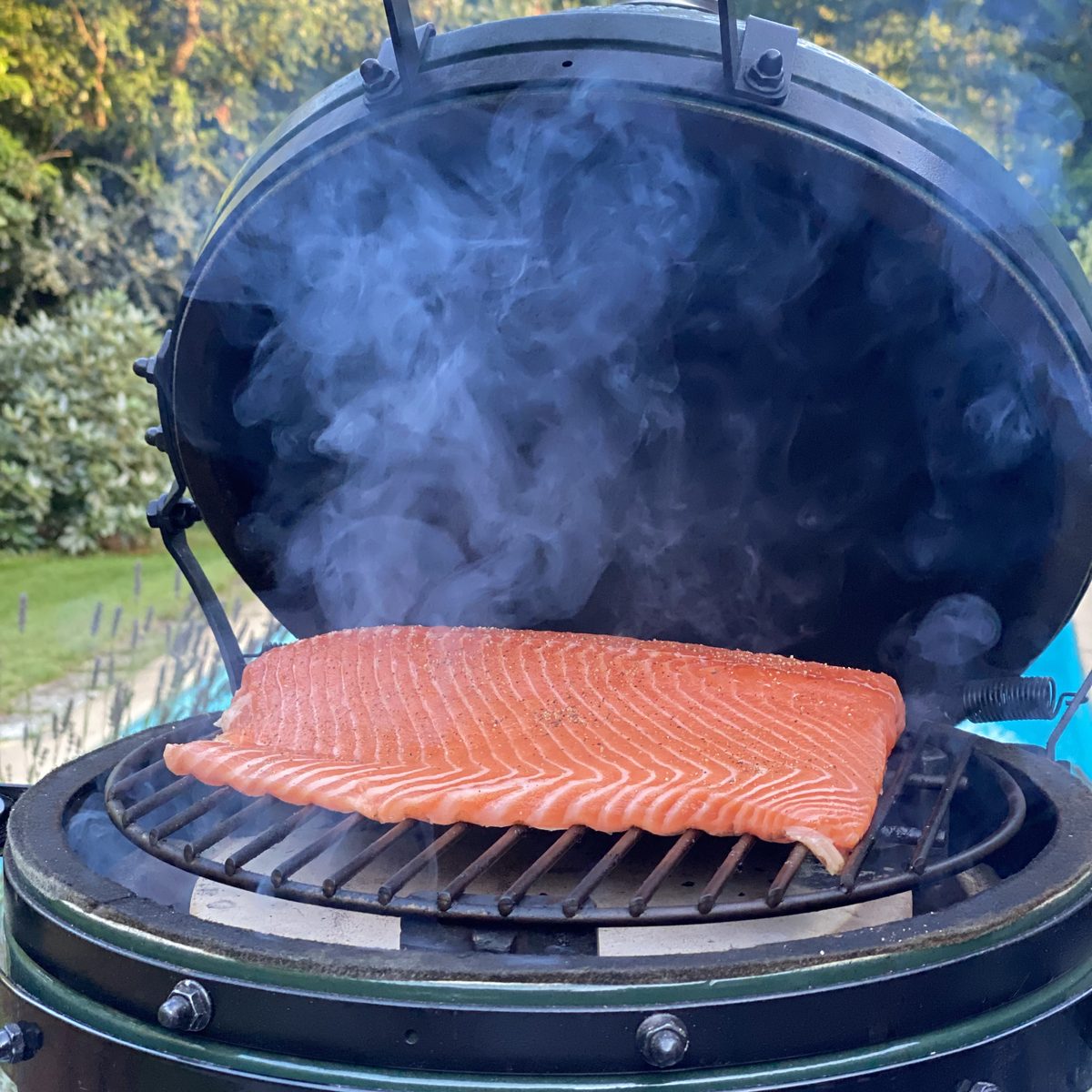 Warmgerookte zalm van dichtbij